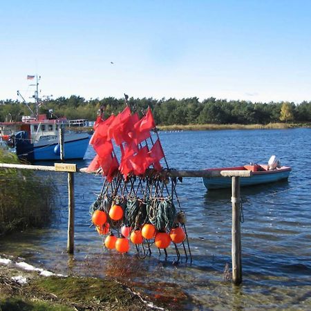 Ferienwohnung _Graureiher_ Zingst Buitenkant foto