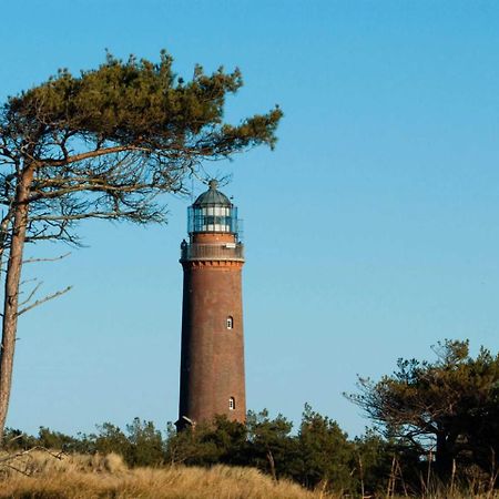 Ferienwohnung _Graureiher_ Zingst Buitenkant foto