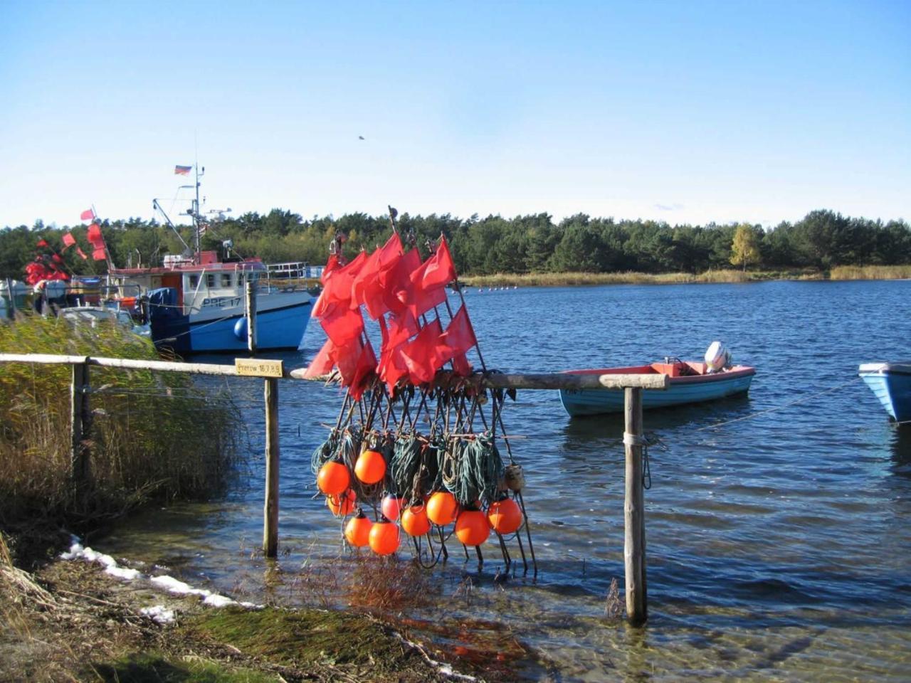 Ferienwohnung _Graureiher_ Zingst Buitenkant foto