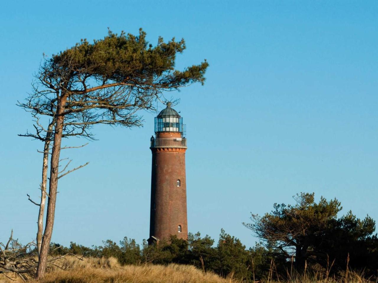 Ferienwohnung _Graureiher_ Zingst Buitenkant foto