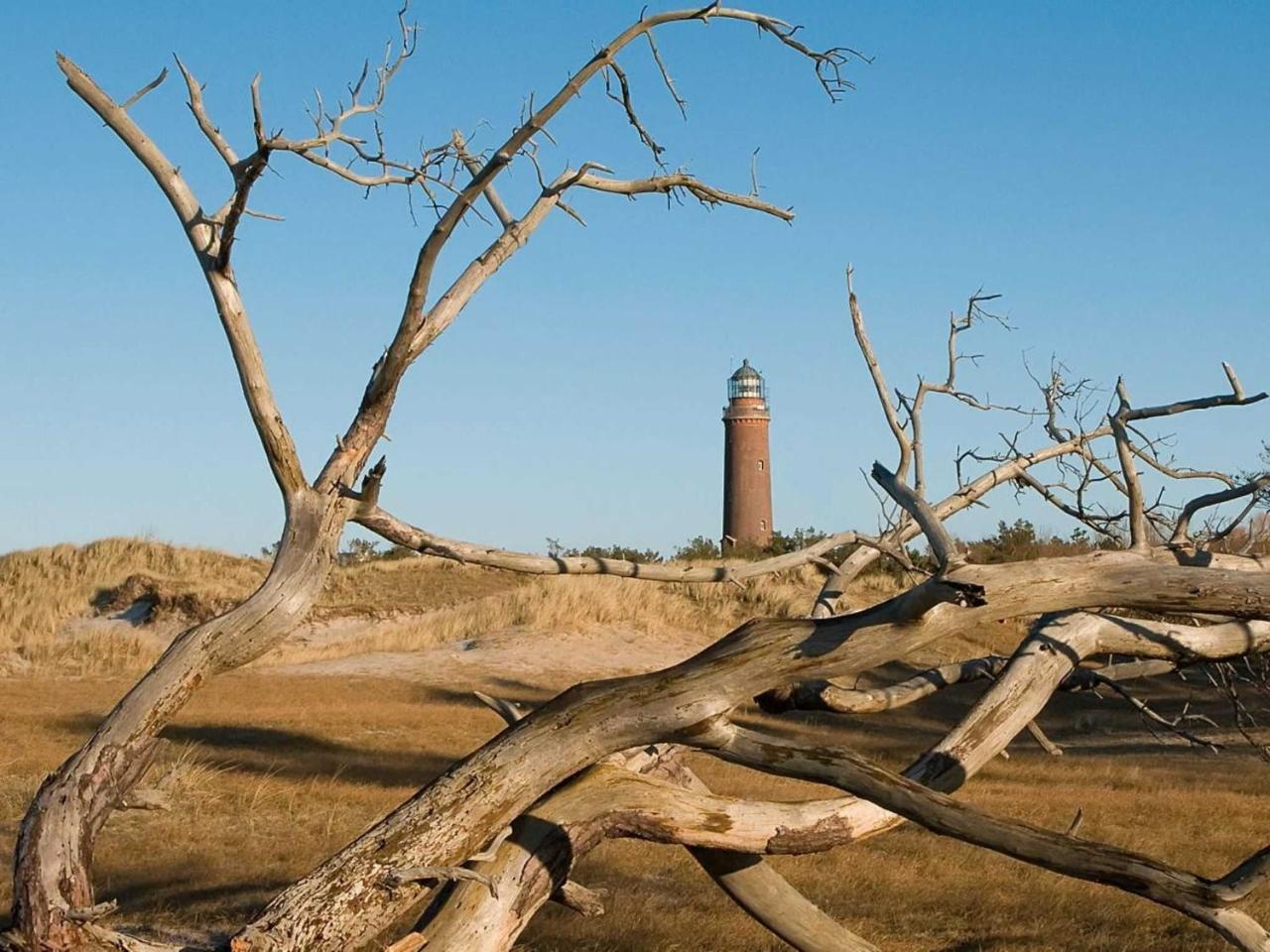 Ferienwohnung _Graureiher_ Zingst Buitenkant foto