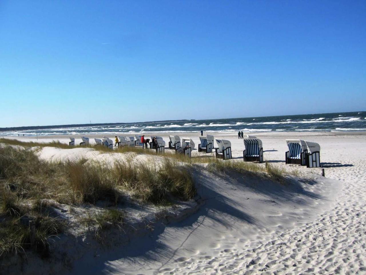 Ferienwohnung _Graureiher_ Zingst Buitenkant foto