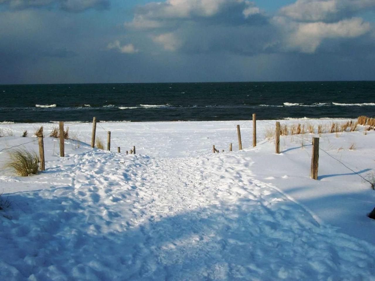 Ferienwohnung _Graureiher_ Zingst Buitenkant foto