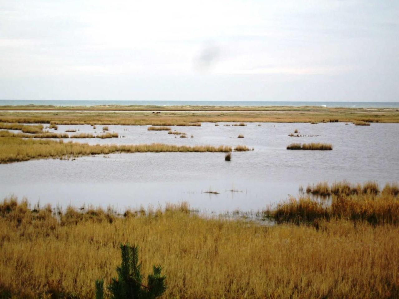 Ferienwohnung _Graureiher_ Zingst Buitenkant foto