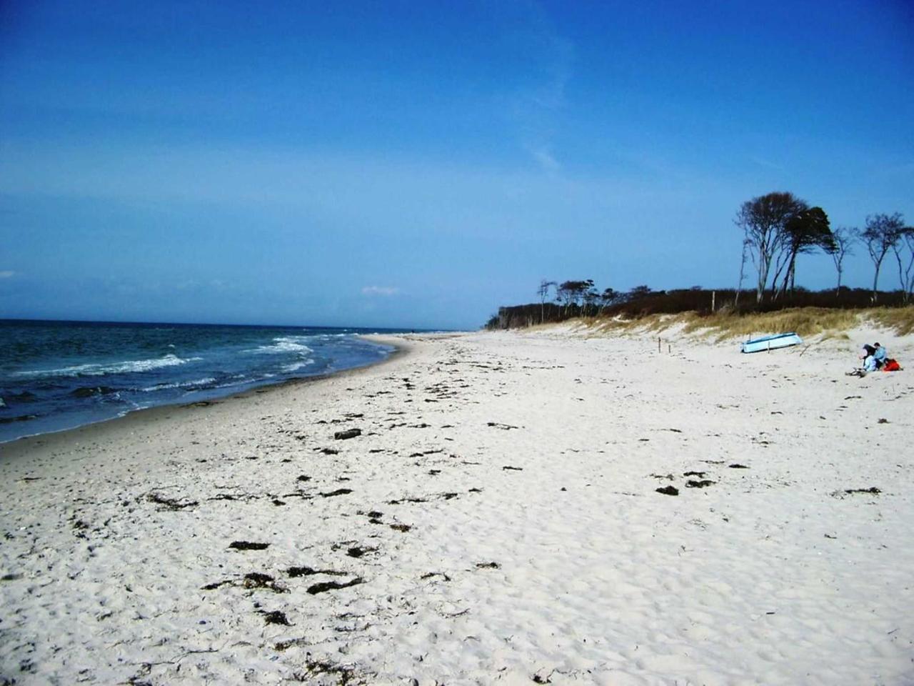 Ferienwohnung _Graureiher_ Zingst Buitenkant foto